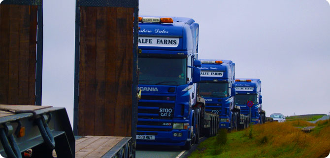 The Heavy Haulage Specialists Contact Us